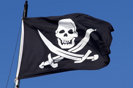 Ancine cria coordenao para combate  pirataria